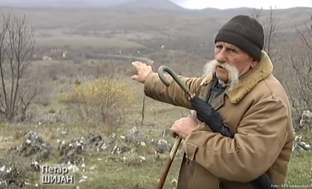 petar sijan
