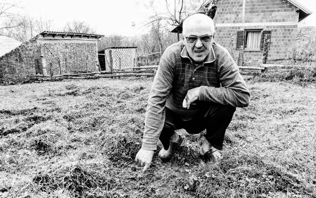 zivko prodanovic