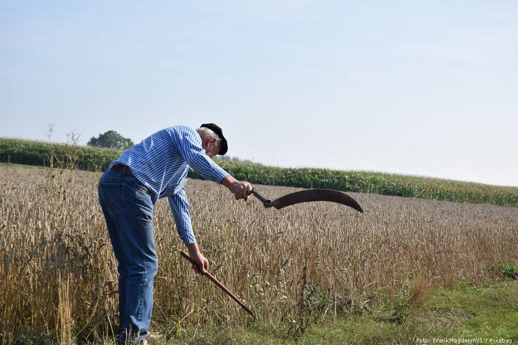 agriculture 4443450 1920