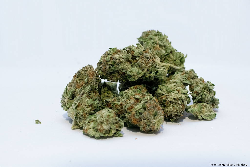 marihuana