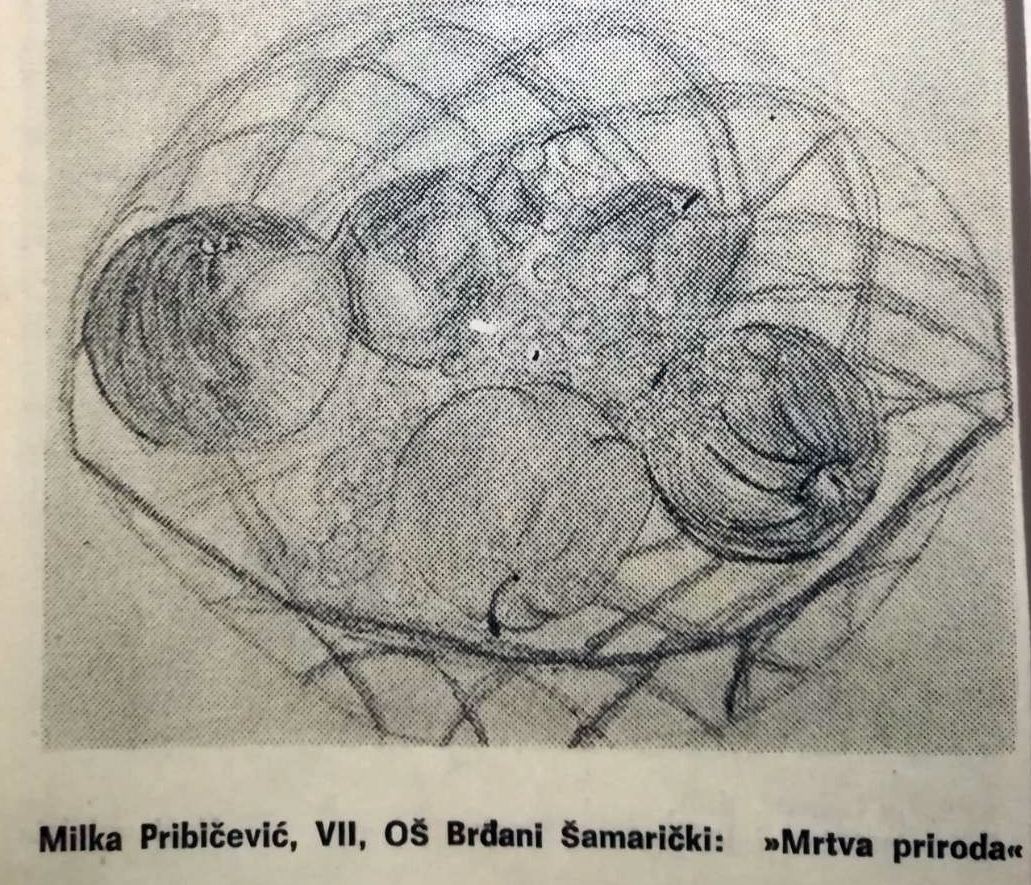Rad Milke Pribičević, 7 razred OŠ Šamarički Brđani | Foto: Radmila Kordić