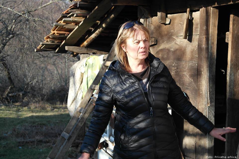 Branka 4