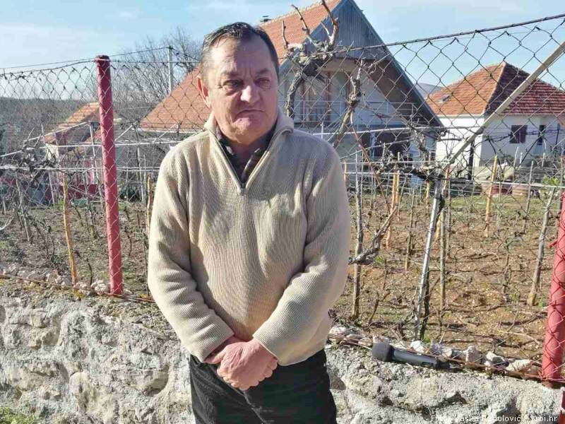 Rajko Orlović