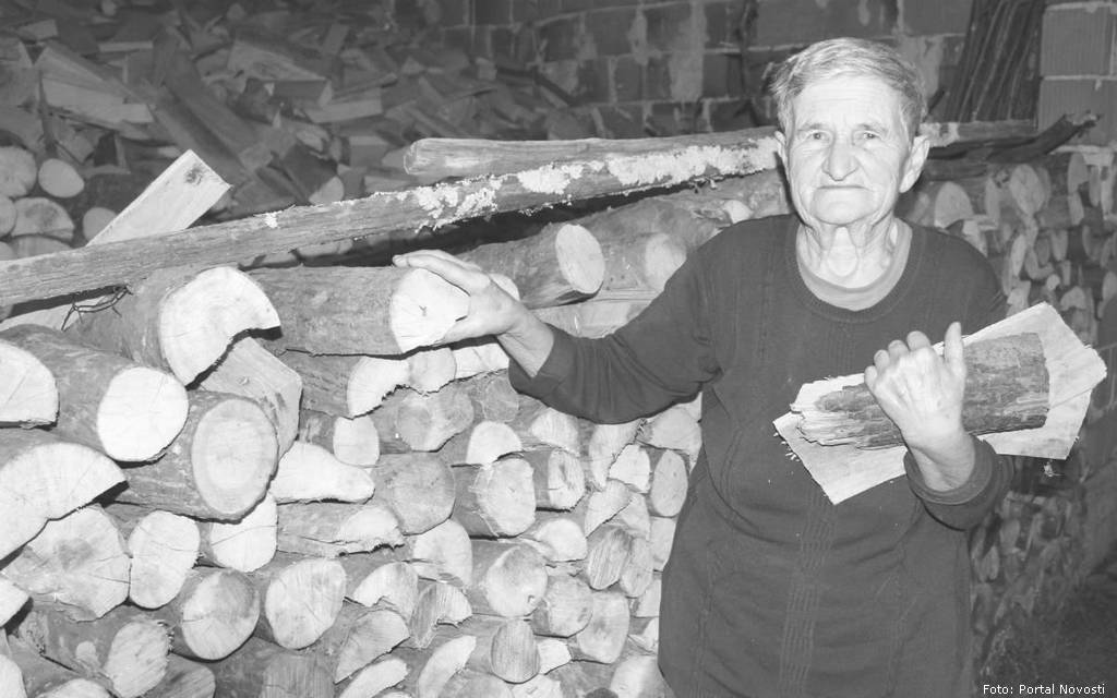 Hvala curama iz SNV-a - Dušanka Momić