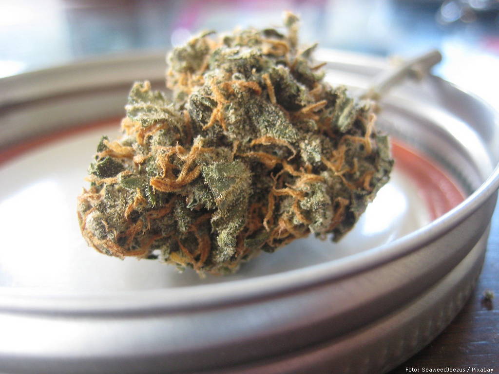 marihuana
