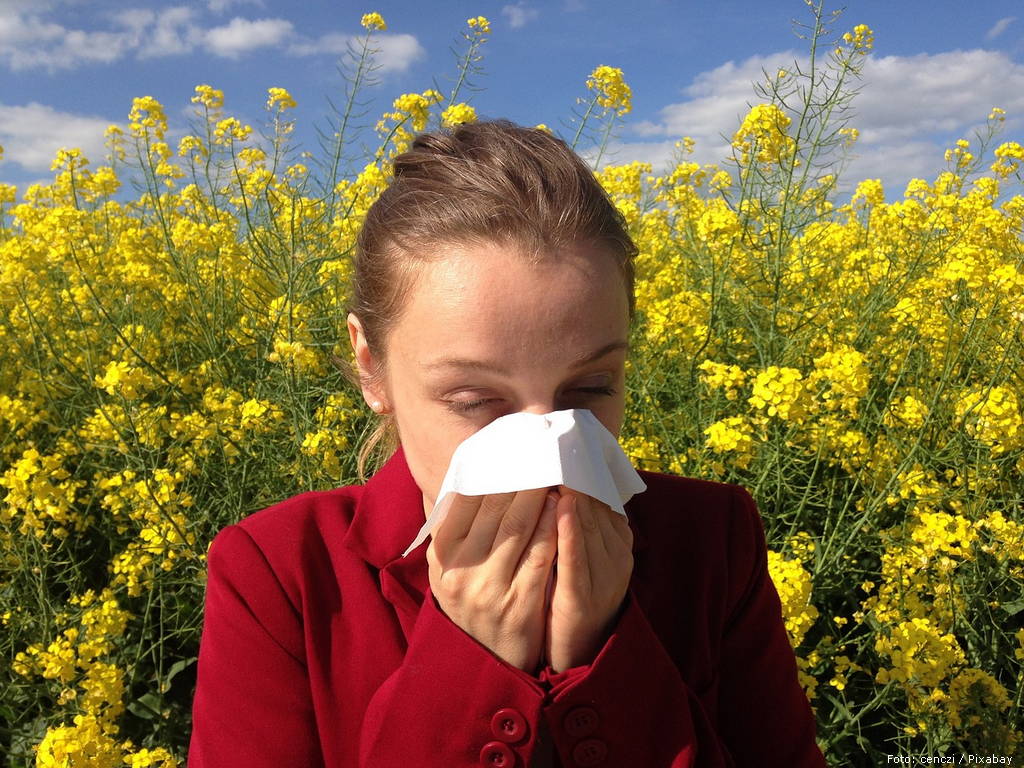 allergy 1738191 1280