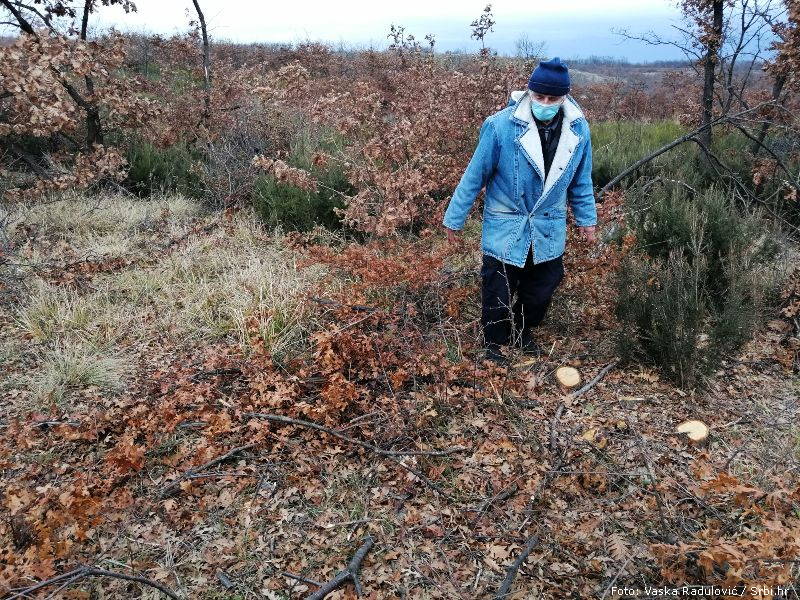 Islam latinskiNikola