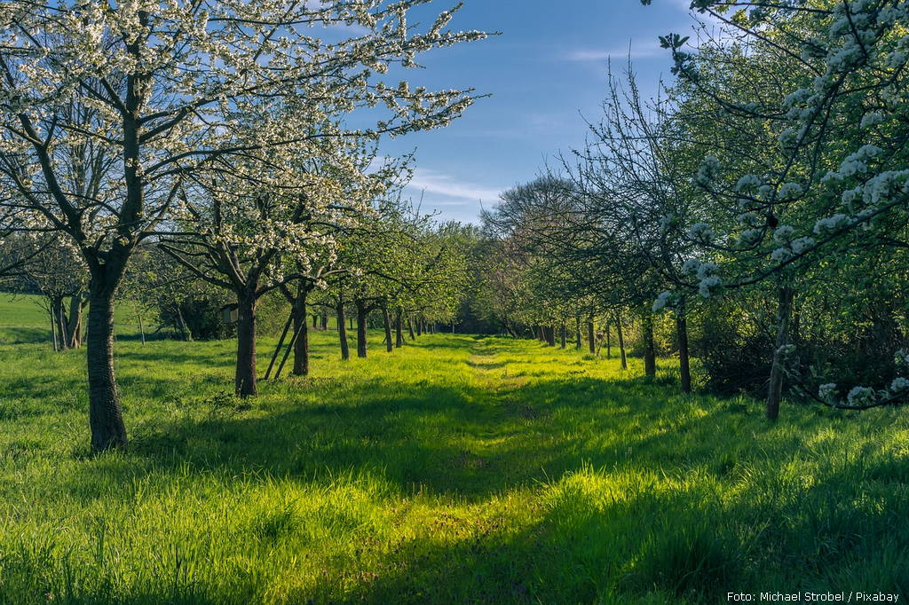 spring 4158957 1280