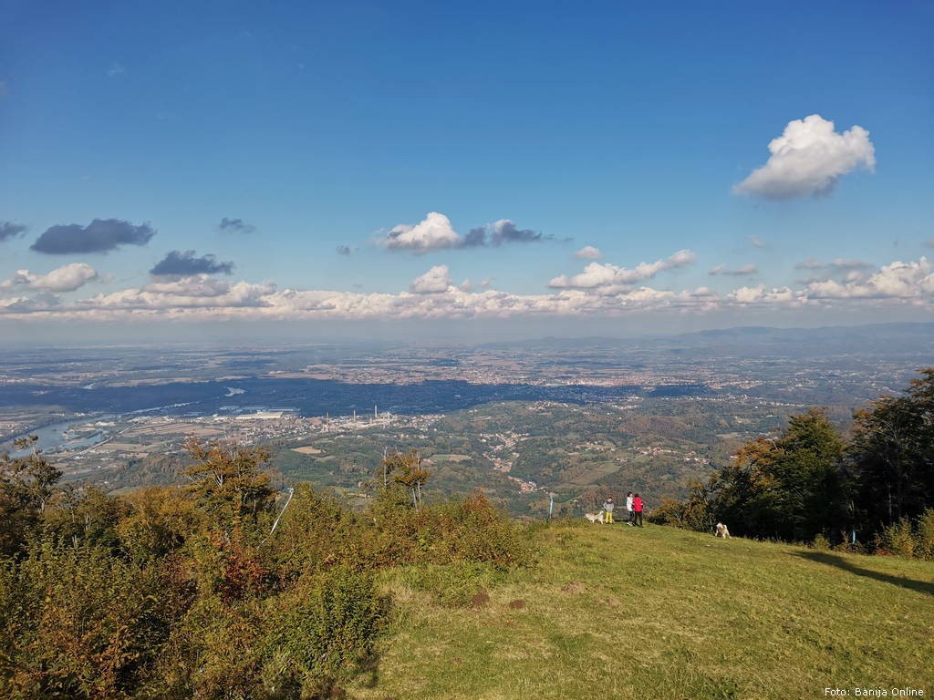 loznica gucevo