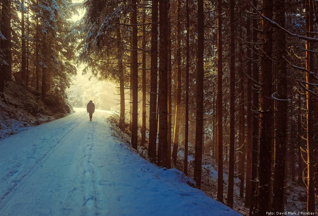 winter 1936638 1920