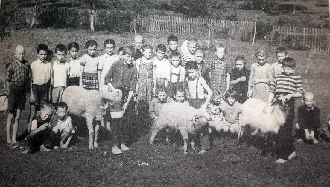 komogovina