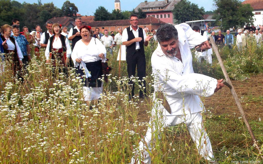 djedova kosidba
