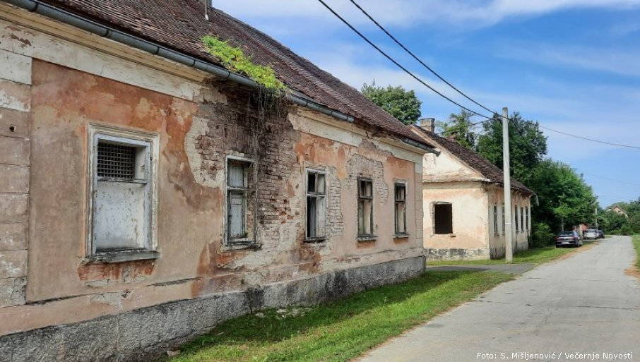 dubica 1
