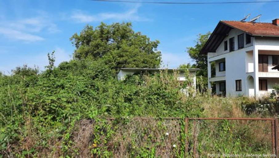 Kunu i po daju za metar kvadratni, za 10 ari - 200 evra | Foto: S. Mišljenović