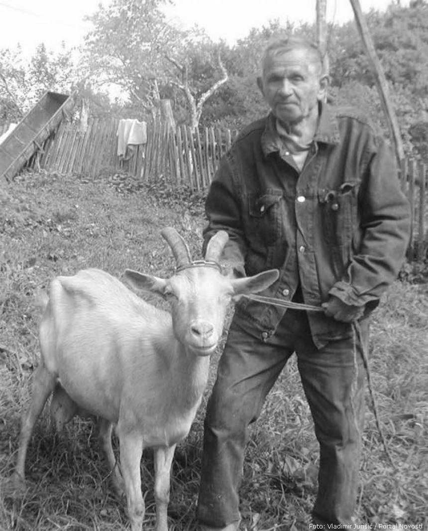 milos nisevic
