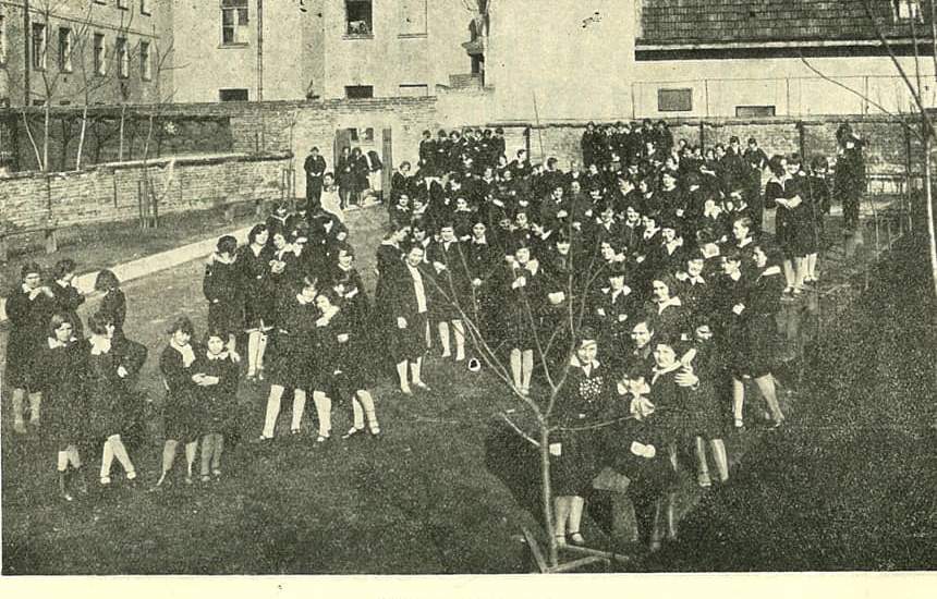 Pitomice u dvorištu