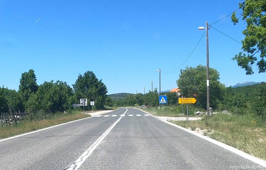 Polaca