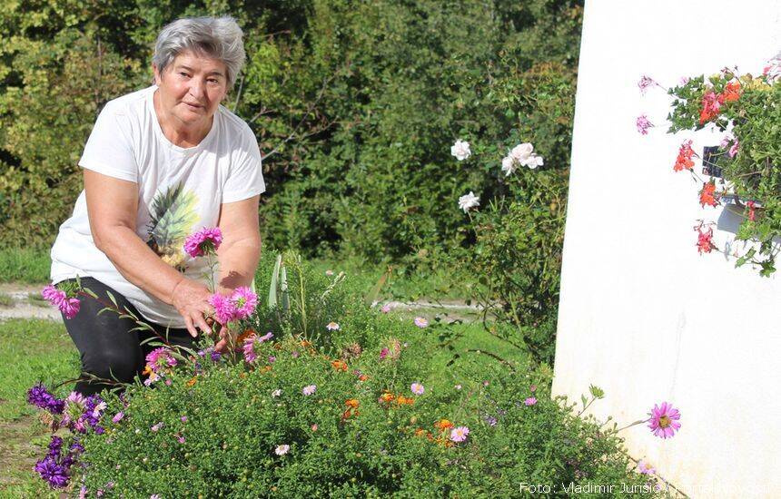 Njen cvjetnjak je atrakcija – Jovanka Cvijanović | Foto: Vladimir Jurišić