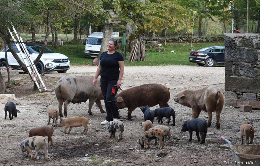 Posla oko blaga uvijek ima (Foto: Jelena Mirić)