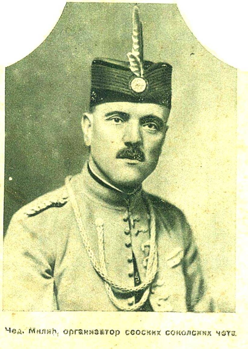 Ceda Milic