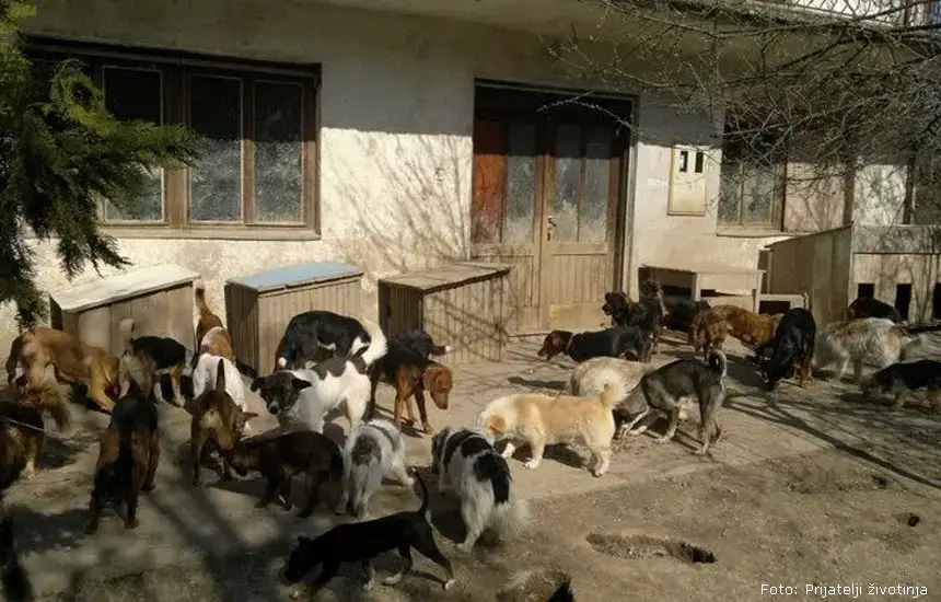 Zbog sumnje na ubijanje i mučenje životinja uhapšena 45-godišnjakinja iz općine Dvor