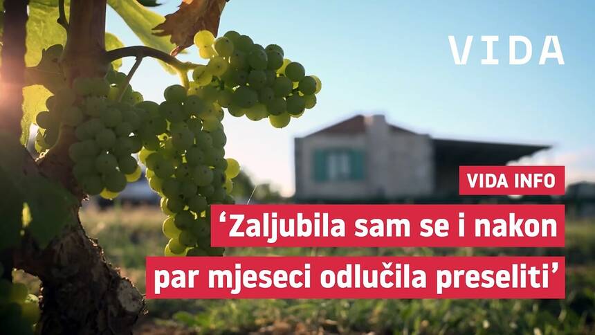 vidatv