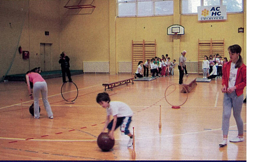 Soko Smederevo
