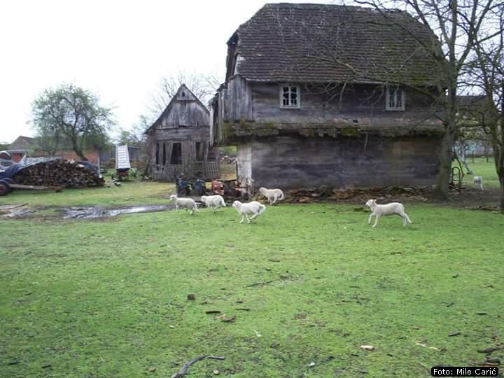 Banijska kuca 11