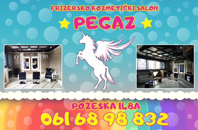 Pegaz 390