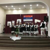 Banijsko Pleteno Kolo 102
