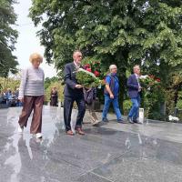 Pomen Glina 15