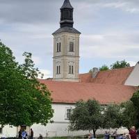 Krusedolska Zvona 9