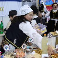 Sajam Zavicaja 17