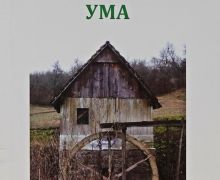 podmladjivanje-uma-19.jpg